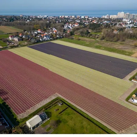 Σπίτι διακοπών Tiny Beachhouse - Free Parking