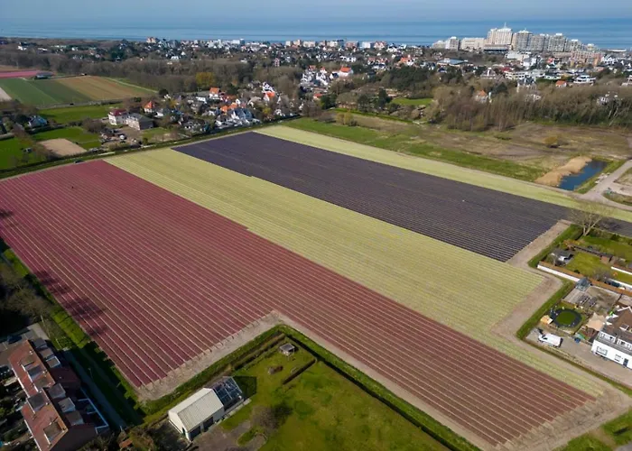 Holiday home Tiny Beachhouse - Free Parking